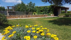 A garden with yellow flowers and a stone wall. - Villa with private pool - sea view near WWF natural oasis (Carovigno)