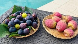 A poolside area with a wicker basket containing figs and a basket of prickly pears. - Villa with private pool - sea view near WWF natural oasis (Carovigno)