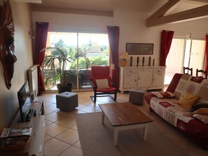 TV, books, stereo - The vacation rental getaway (Pujaut)