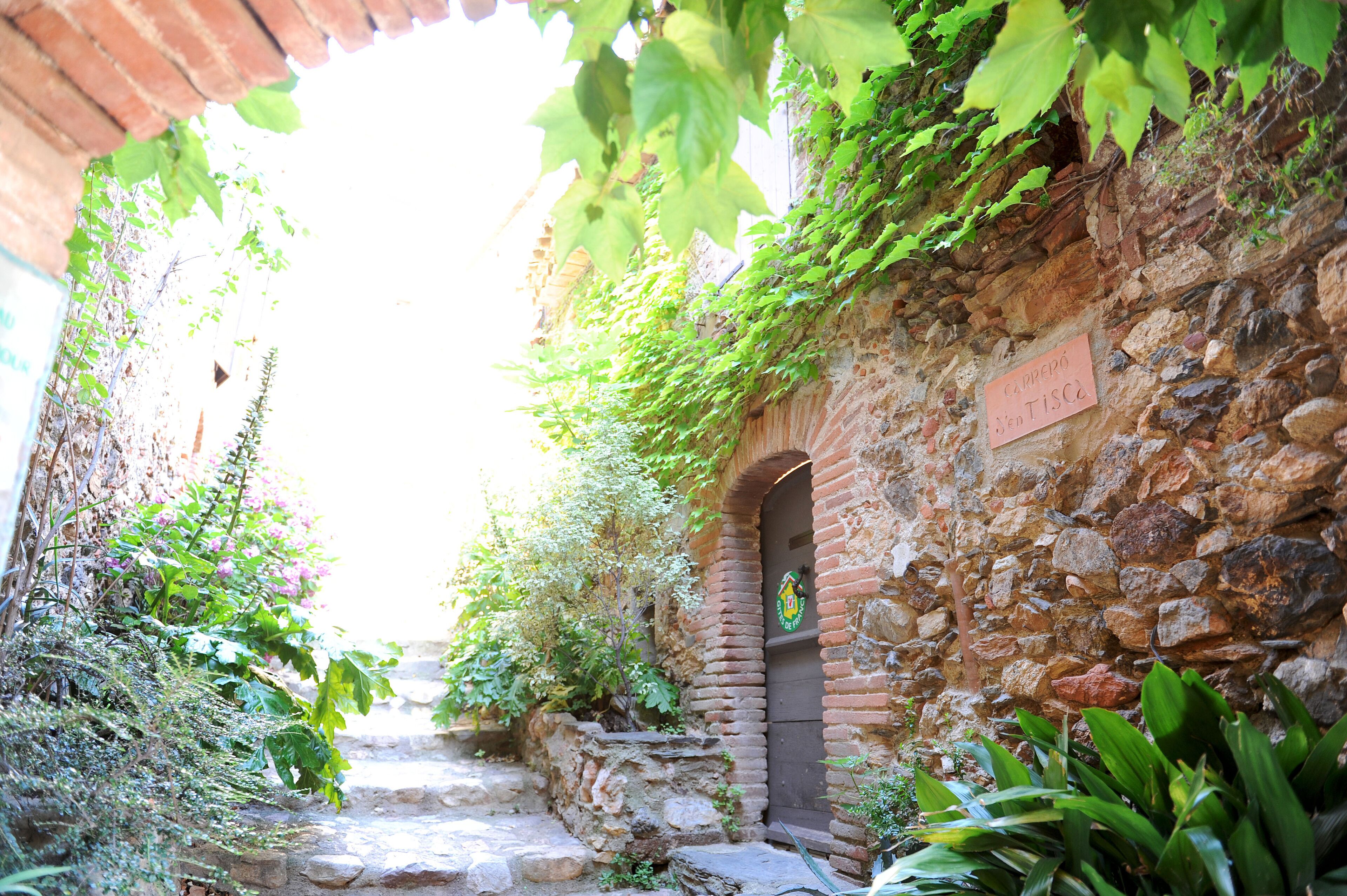 A narrow stone pathway flanked by lush greenery and a stone wall with a door and a sign.