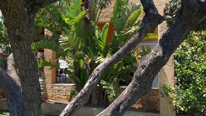 A tropical garden with large trees and a stone wall.
