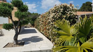 A paved pathway lined with various plants and trees, leading to a building with a tiled roof.