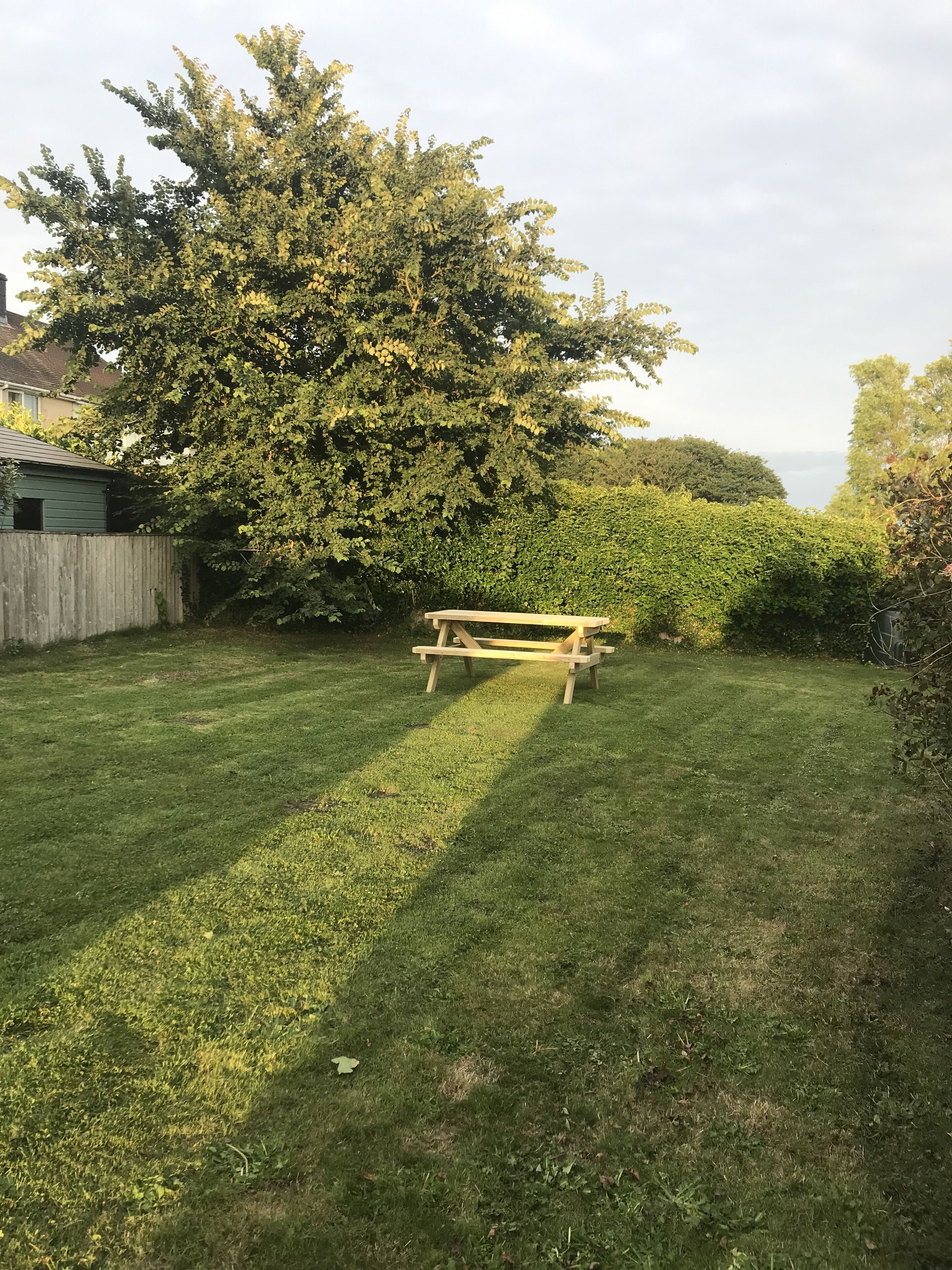 A grassy backyard with a wooden picnic table and a large tree.