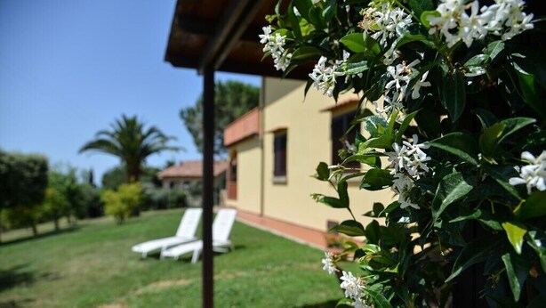 Un jardin avec des fleurs blanches et un bâtiment doté d’un toit rouge.