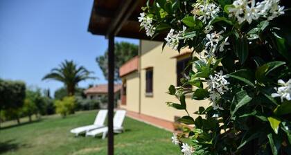 Independent ground floor apartment with garden, parking space with sea view, 4 pax