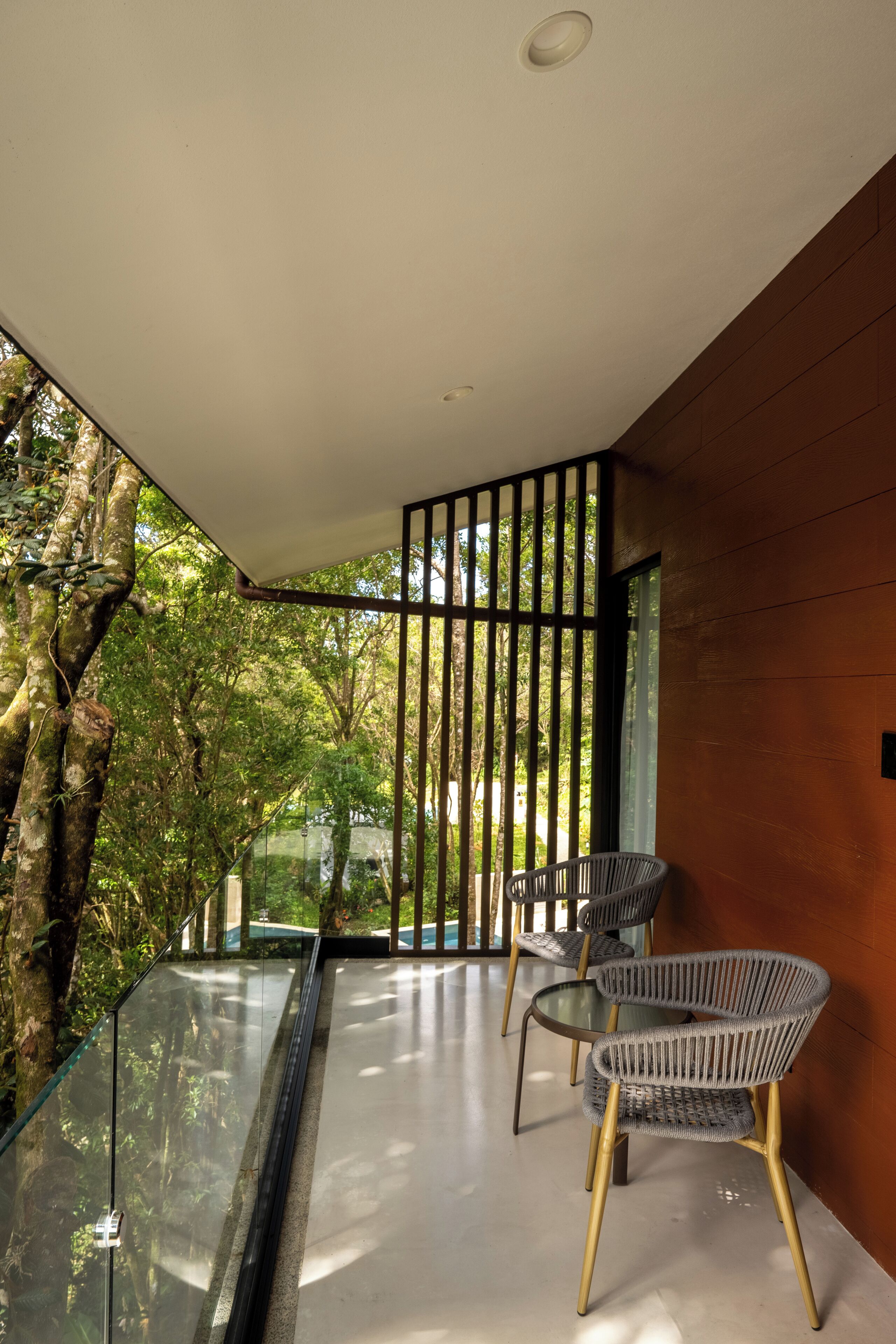 Forest King Room | Terrace/patio