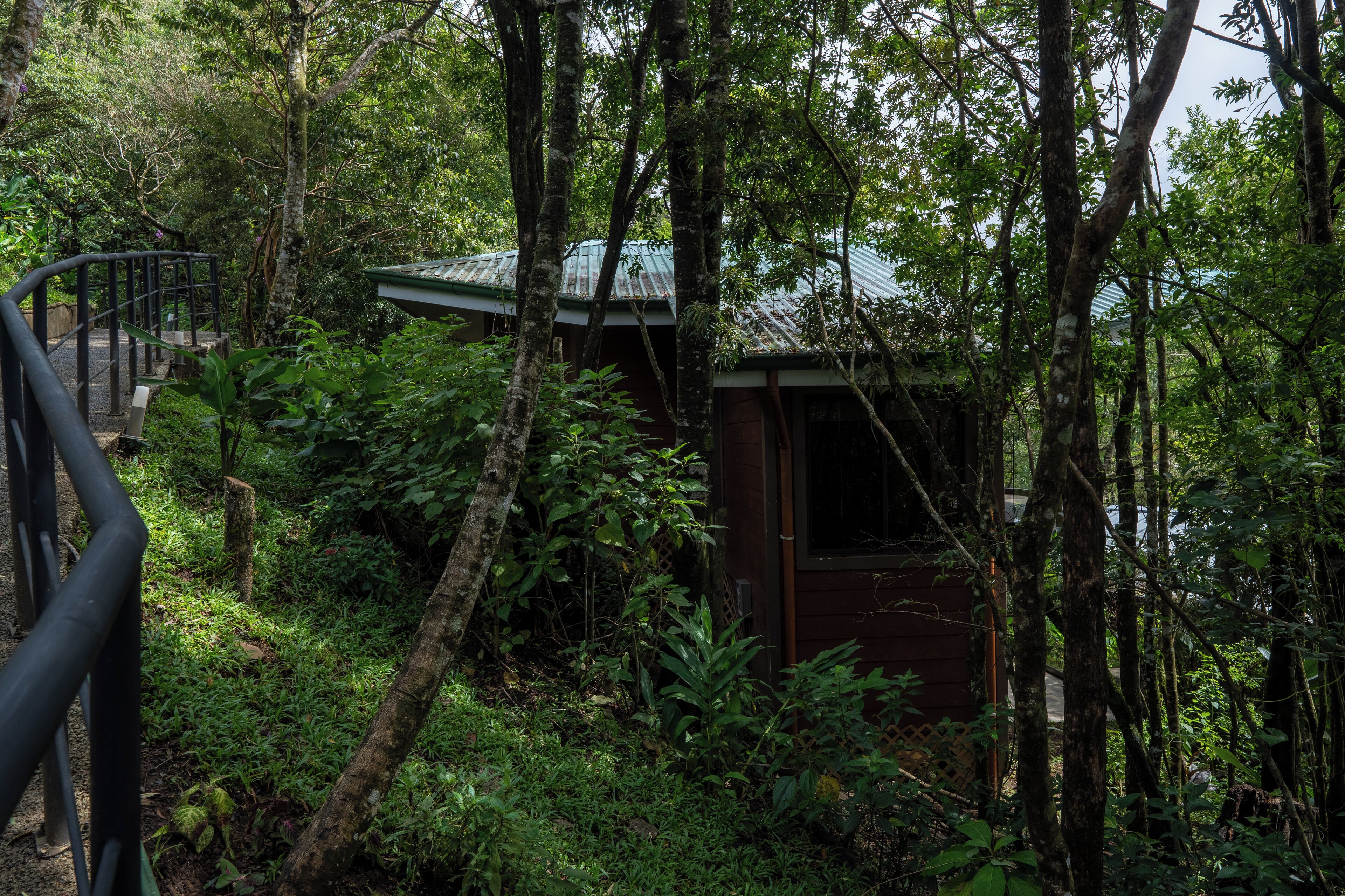 A small wooden cabin surrounded by dense forest, with a metal staircase leading up to it.