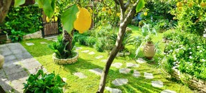 Luokittelematon kuva, 5 kautta 42, painike