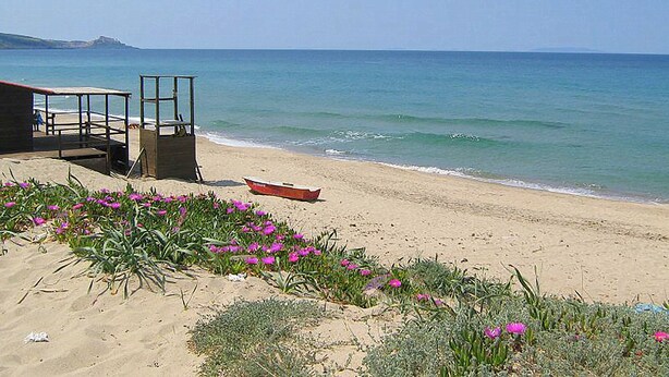 A beach with a wooden structure, a boat, and pink flowers. - Villa Etienne - Key to Villas (Valledoria)
