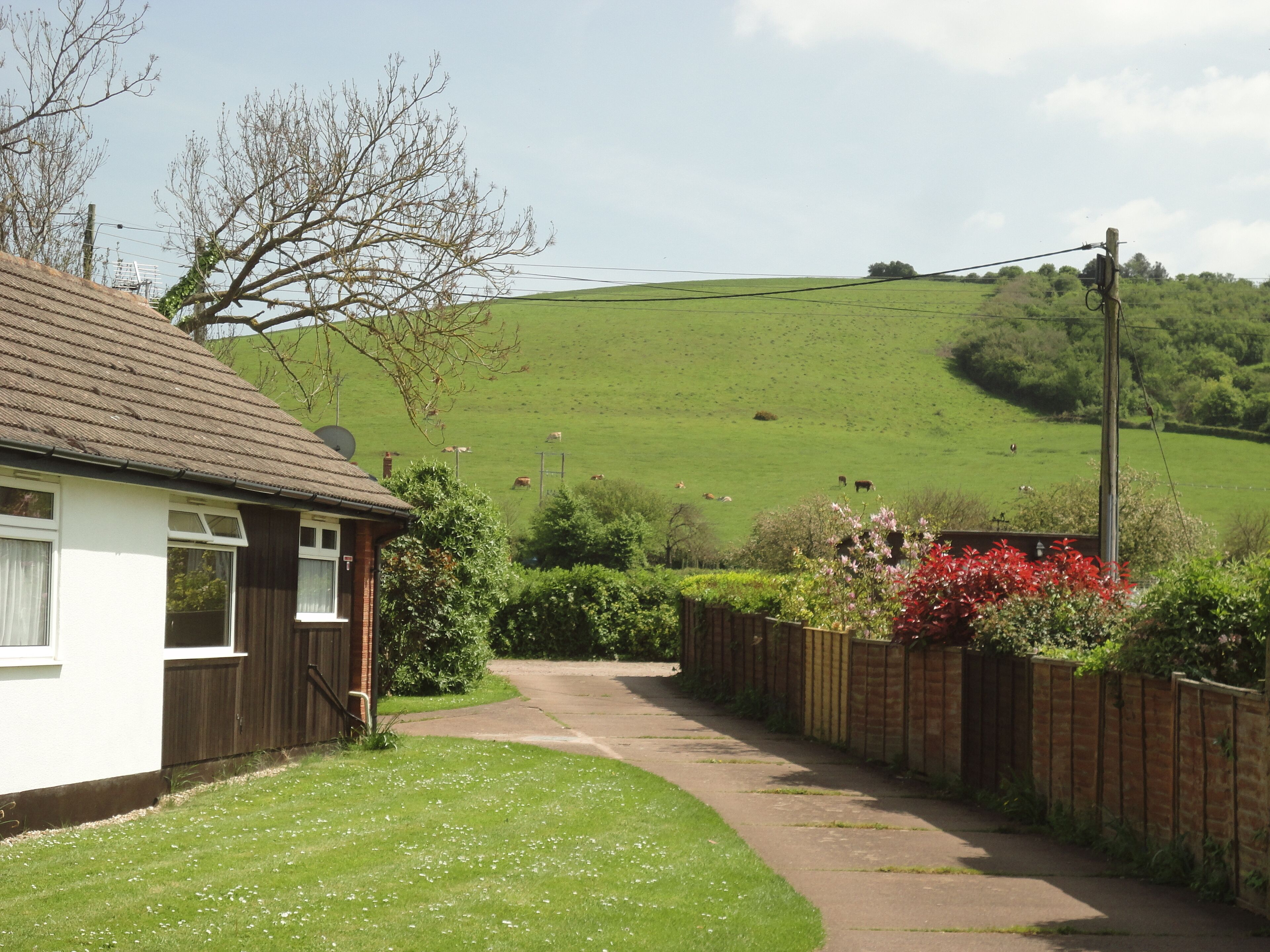 View from front of bungalow