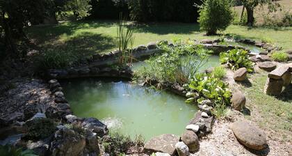 Appartement - Sassoferrato