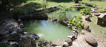 Small villa with a big garden and a big swimming pool - Sassoferrato