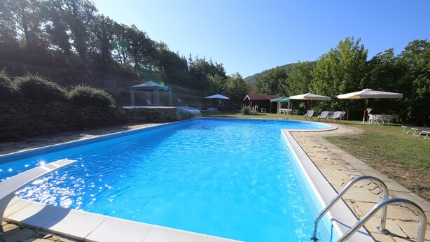 A swimming pool with a stone border, a metal ladder, and lounge chairs.