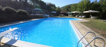 Small villa with a big garden and a big swimming pool - Sassoferrato