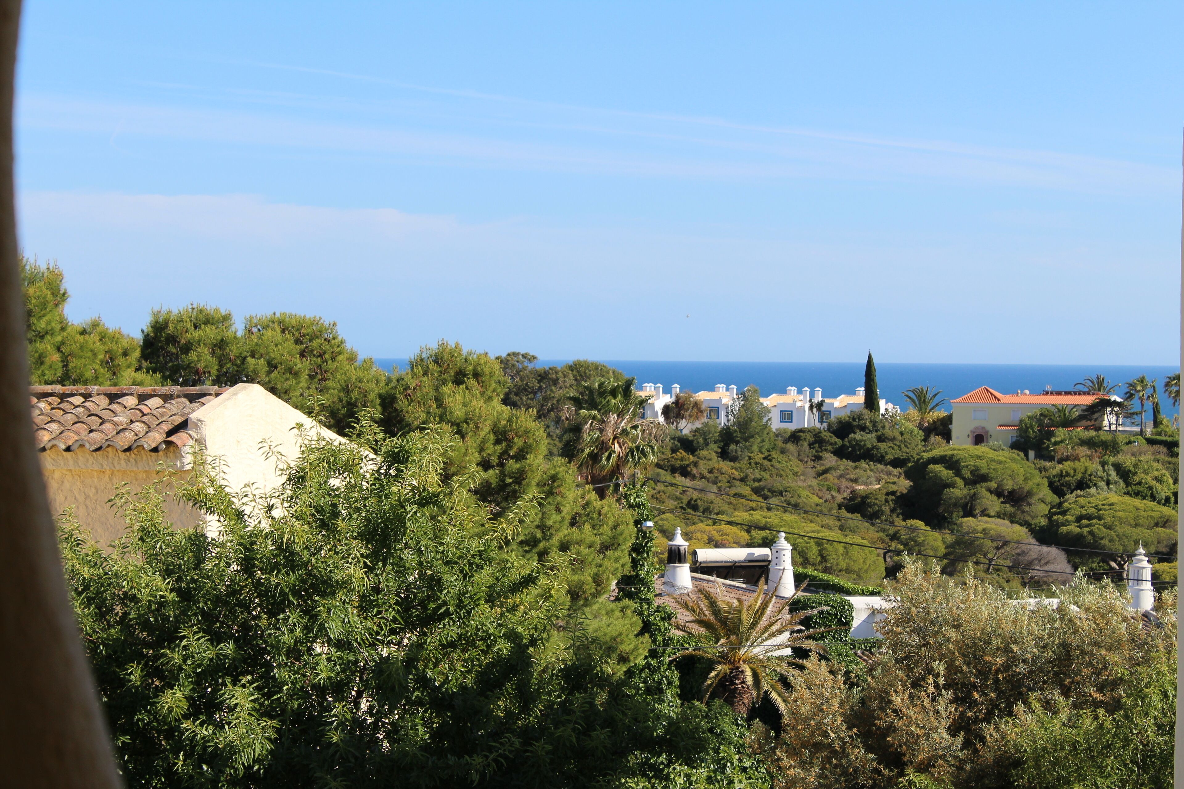 Eine Küstenlandschaft mit Gebäuden, Bäumen und freiem Blick auf das Meer.