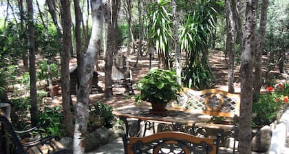 Villa with direct access to the sea - Porto Pino CIN IT111070C2000S3244