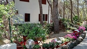Un bâtiment blanc aux volets rouges, entouré d’un jardin où poussent différentes espèces de plantes et bordé d’un chemin en pierre.