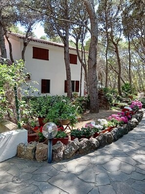 Overnattingsstedets uteområder