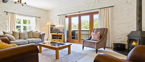 Smart TV, fireplace, DVD player, books