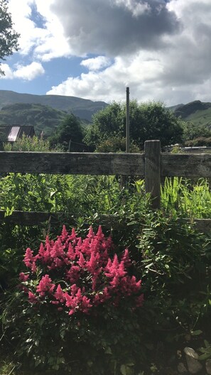 Terrain de l’hébergement