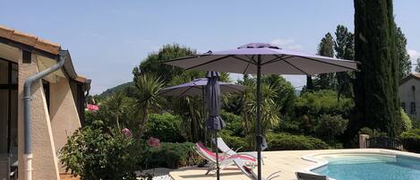 Een zwembadterras met ligbedden, parasols en een hoge boom.