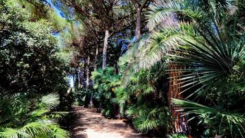 Parco della struttura