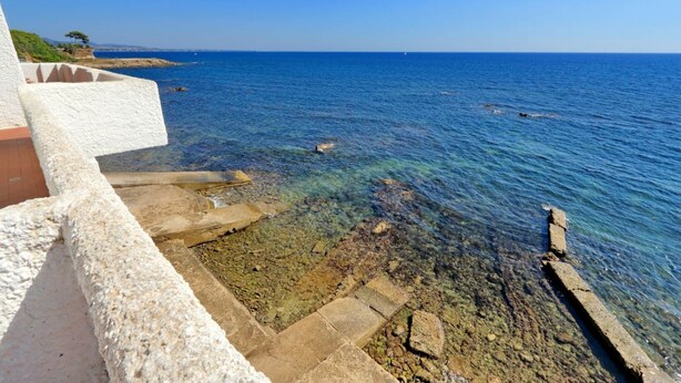 A coastal view with clear water, steps leading to the shore, and a distant tree line.