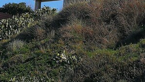 Un bâtiment blanc, doté d’un toit plat et de deux fenêtres, entouré d’une végétation desséchée et surplombé d’un ciel bleu clair.