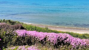 Une plage bordée de fleurs roses et baignée d’une eau d’un bleu cristallin.