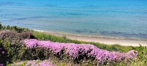 على الشاطئ، كراسي للتشمس