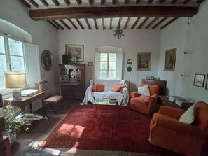 TV, lareira, DVD player, livros