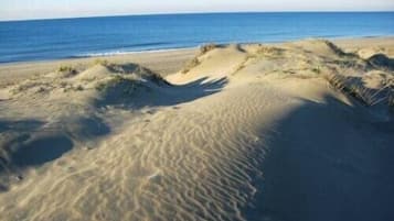 Una spiaggia nelle vicinanze