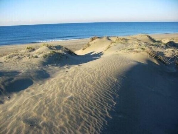 Plage à proximité