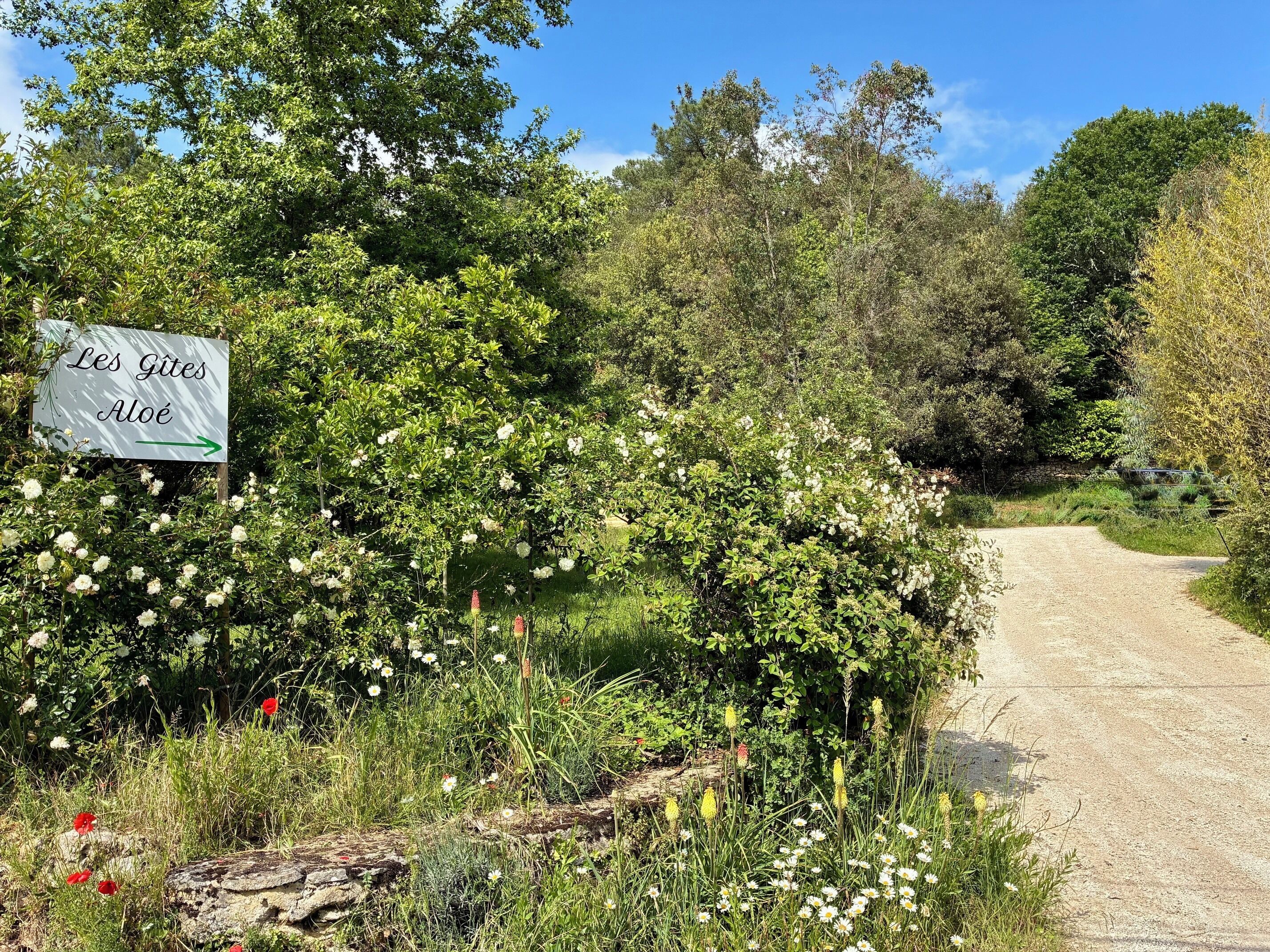 A sign reading 'Les Gites Alooé' with a gravel path leading through a garden with white flowers and greenery.