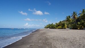 Une plage avec un ciel dégagé, des palmiers et l’océan.