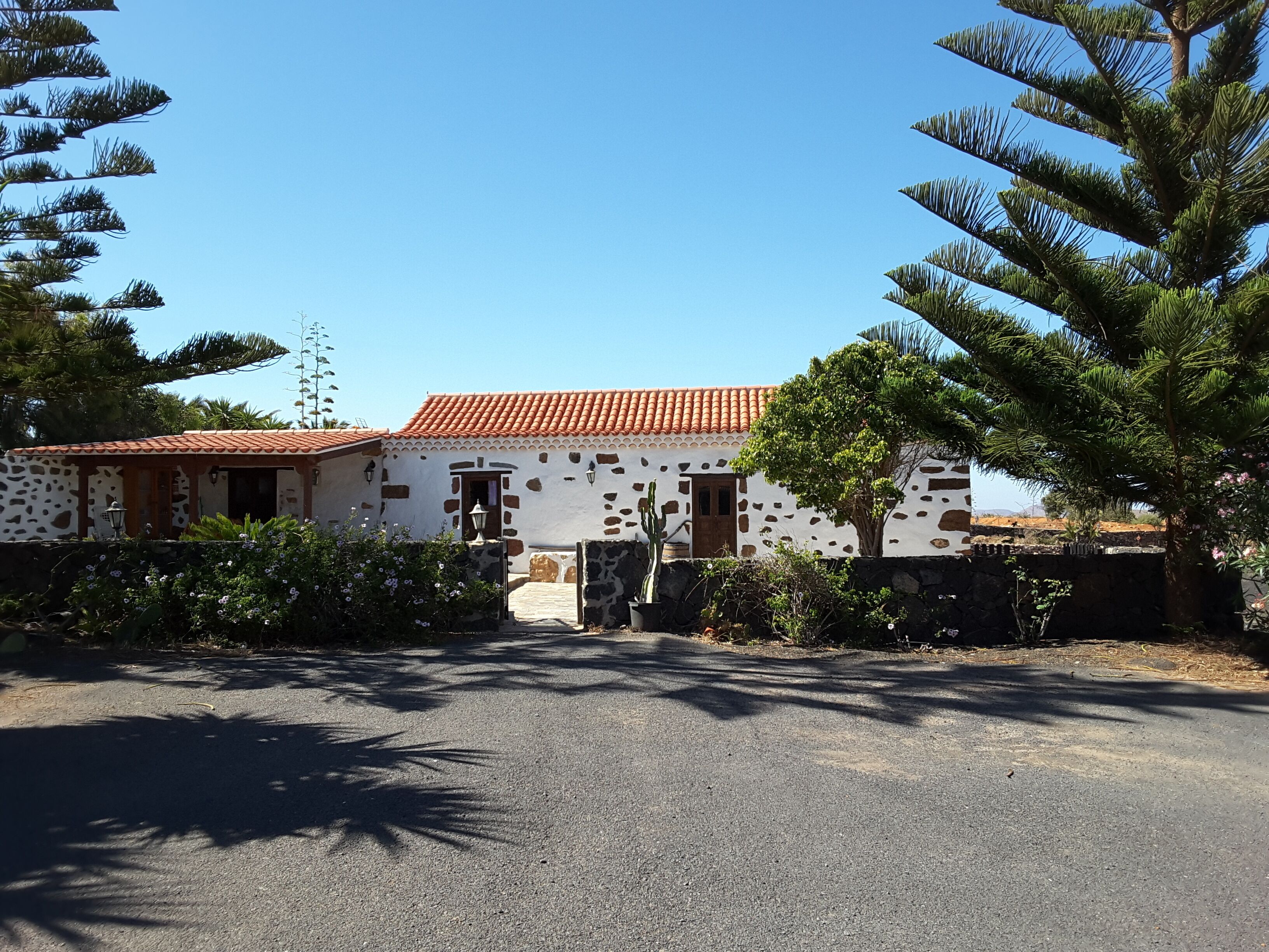 Un bâtiment traditionnel avec un toit en tuiles, des murs en pierre et un cactus dans le jardin.