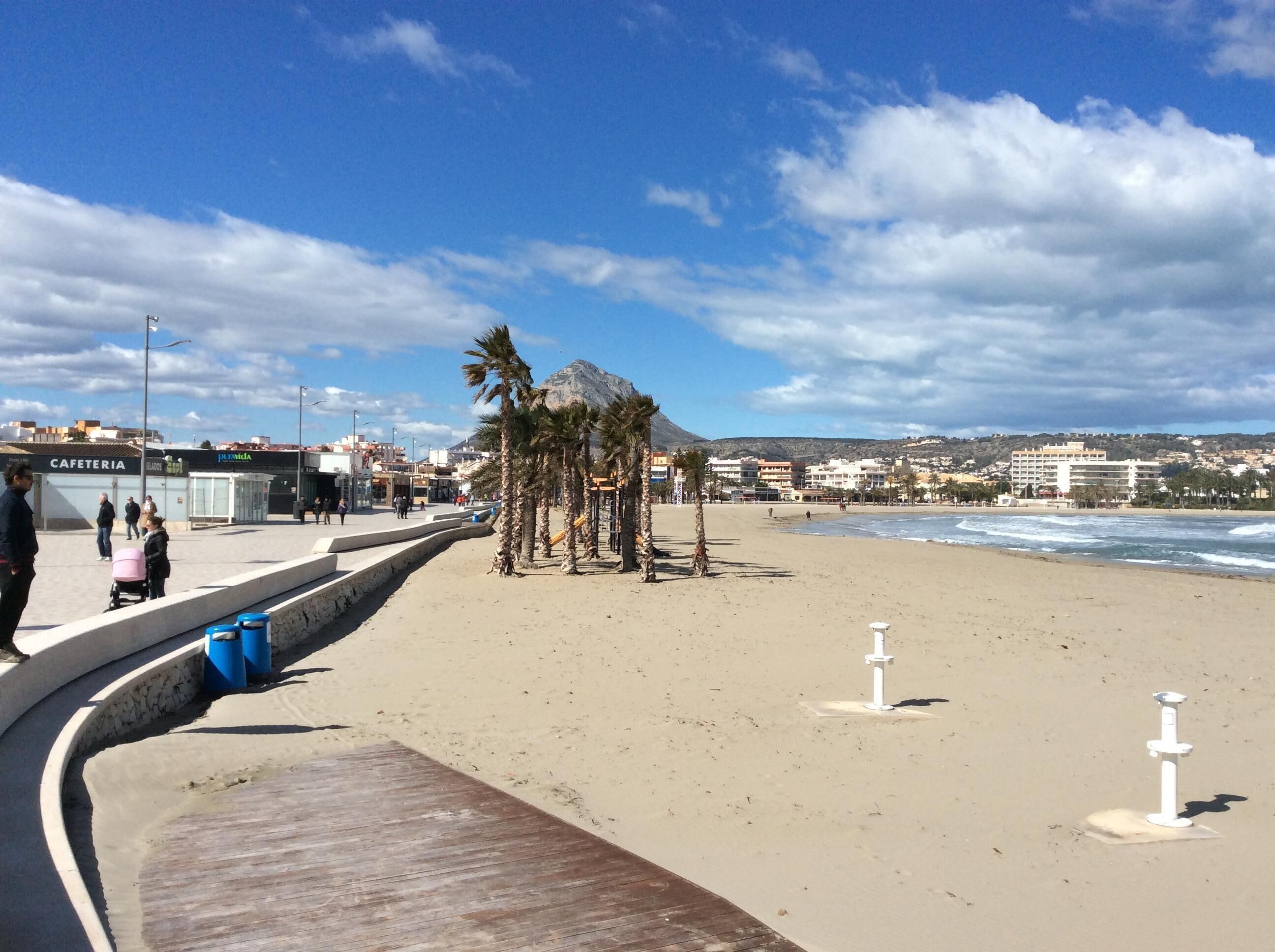 A beach with a promenade, palm trees, and a café.