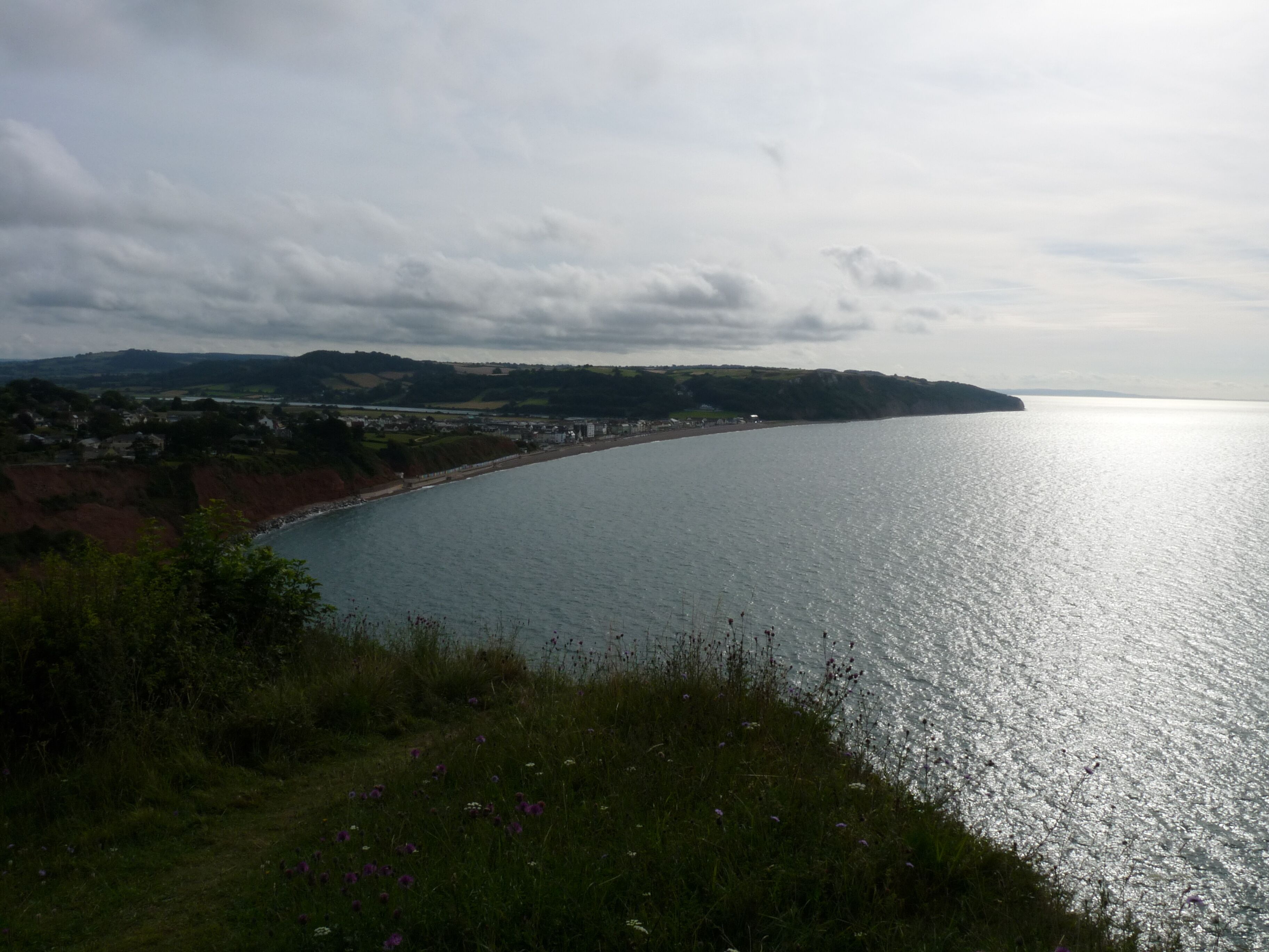 Un paysage côtier avec une ligne de rivage incurvée, une ville visible au loin et un premier plan verdoyant parsemé de fleurs sauvages.