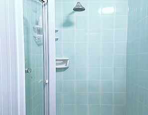 Combined shower/bathtub, hair dryer, bathrobes, bidet