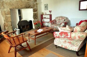 電視、壁爐、DVD 播放機、書籍