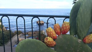 A balcony with a view of the sea and a cactus plant. - House with Big Terrace in Seaside, Syracuse - Ortigia (Siracusa)