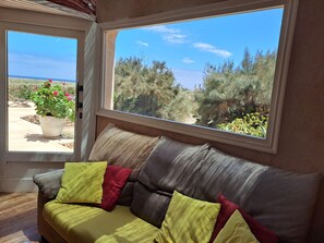 DVD player, books, music library, stereo