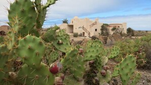 Paisaje desértico con un cactus grande al frente y un edificio tradicional con una escalera en el fondo.
