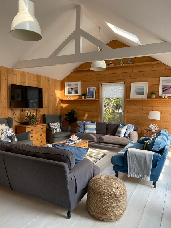 Smart TV, DVD player, books, video library