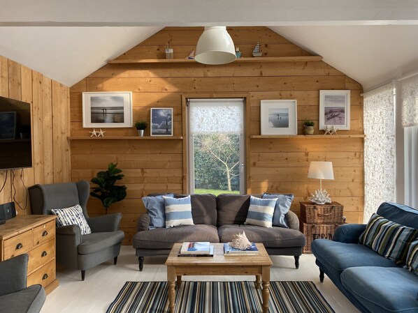 Smart TV, DVD player, books, video library