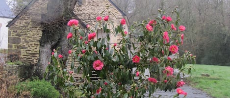 A stone building with a large tree in front.