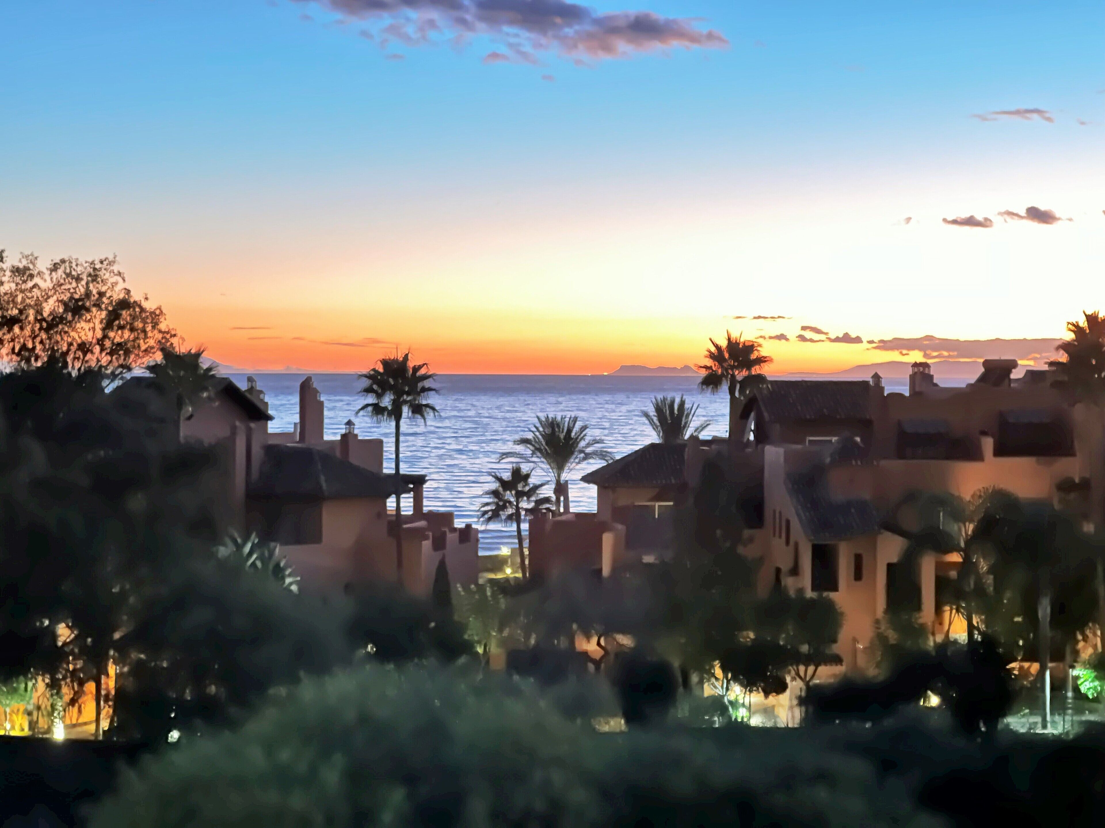 A coastal view with buildings and palm trees.