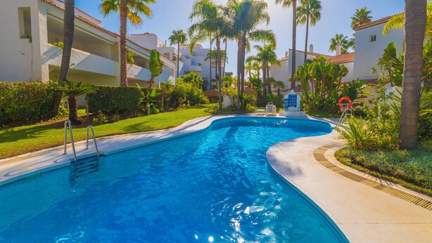 Una piscina amb una zona de solàrium amb palmeres, un espai per als socorristes i un cel serè.