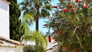 Camí vora vegetació exuberant i una palmera, que condueix a un edifici amb façana blanca i teules de terracota.