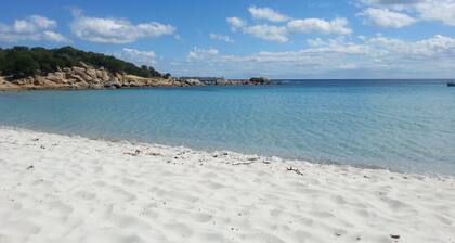 Wonderful villa a few steps from the sea !!